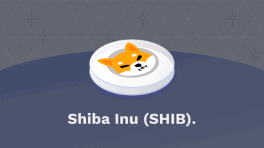 Cos'è Shiba Inu