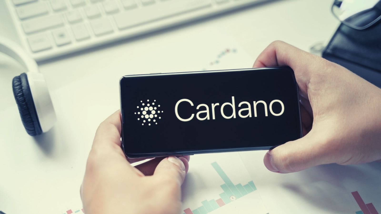 Wallet Cardano