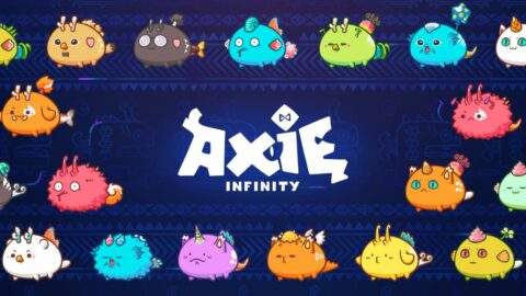 Axie Infinity