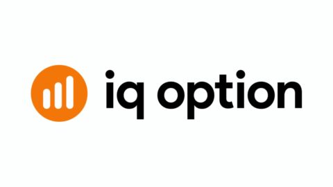 IQ Option Logo