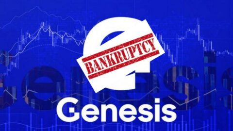 genesis-bancarotta