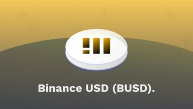 Cos'è Binance USD