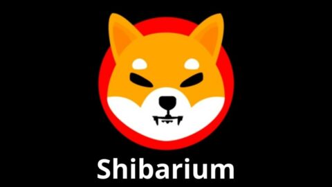 Shibarium